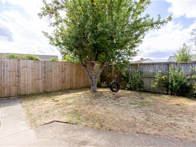 Picture 32
